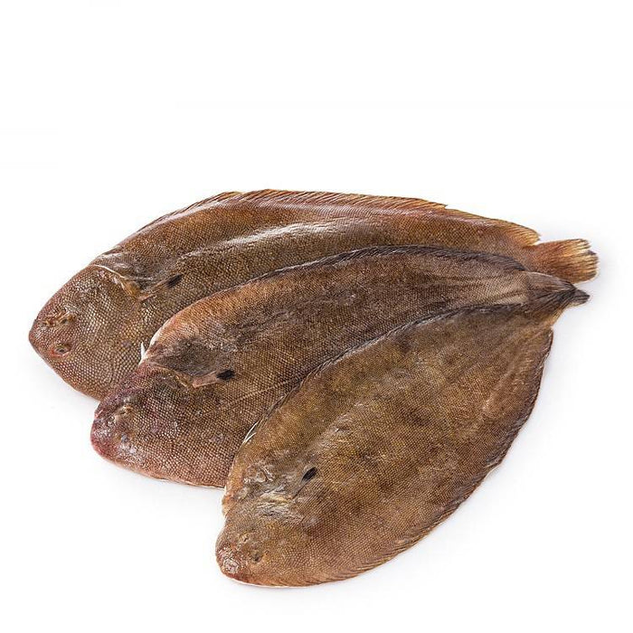 AANBIEDING Tong Middel 2 KG