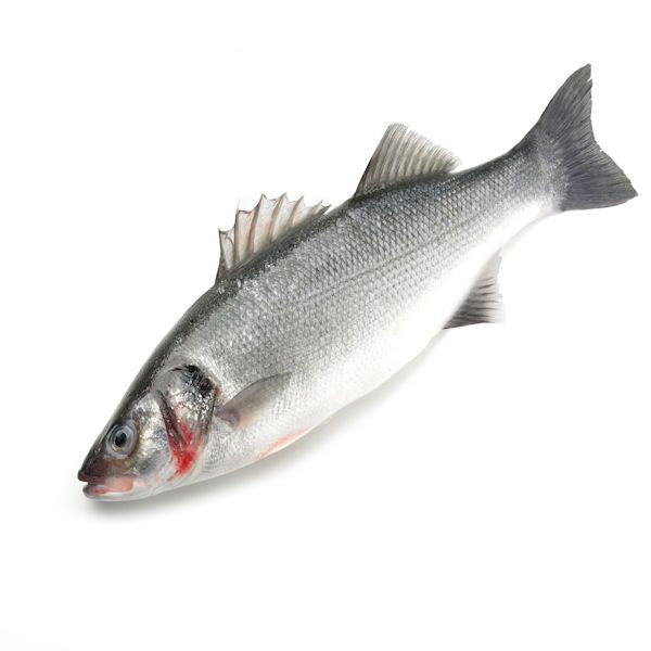 Zeebaars