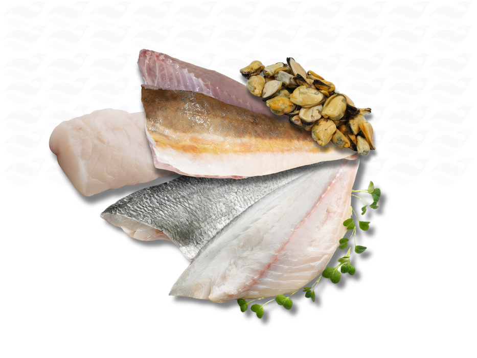Bouillabaisse Vismix (voor 2 personen)