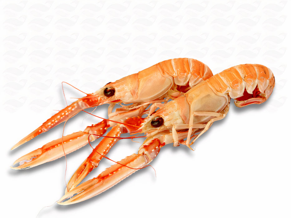 Langoustines