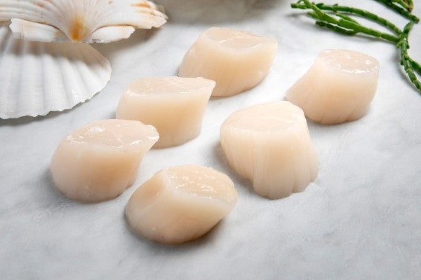 Jakobsmuschelfleisch