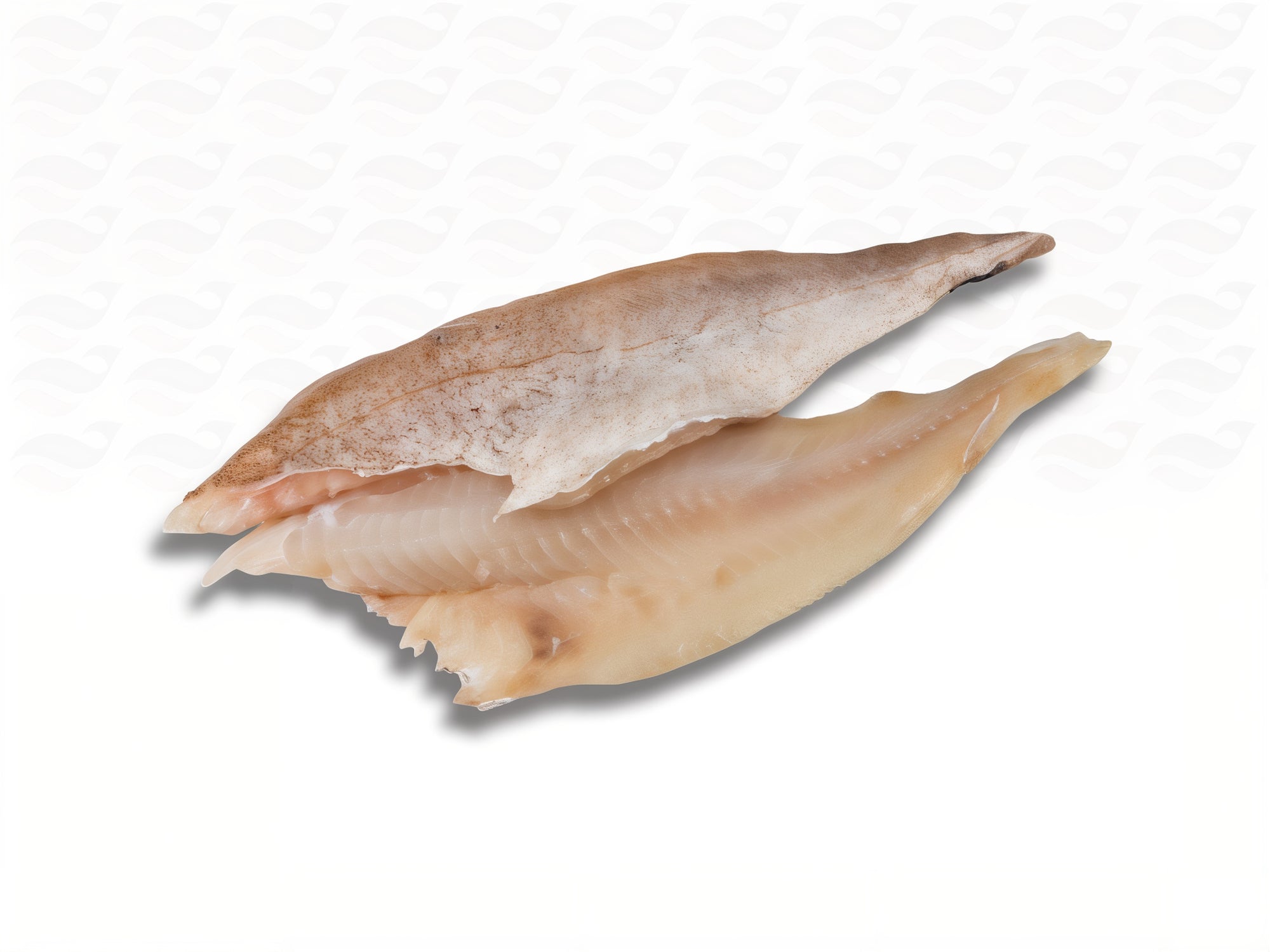 Superaanbieding Steenbolkfilet (gevlinderd) – 2× 500 g voor €9,95