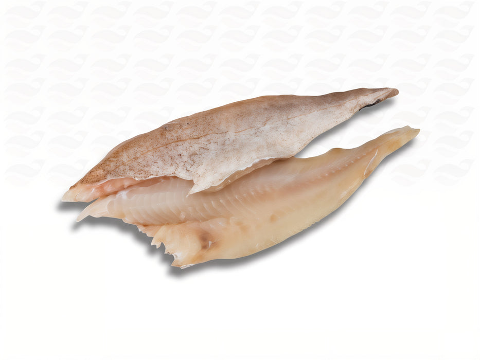 Aanbieding Steenbolkfilet (gevlinderd) – 2× 500 g voor €9,95