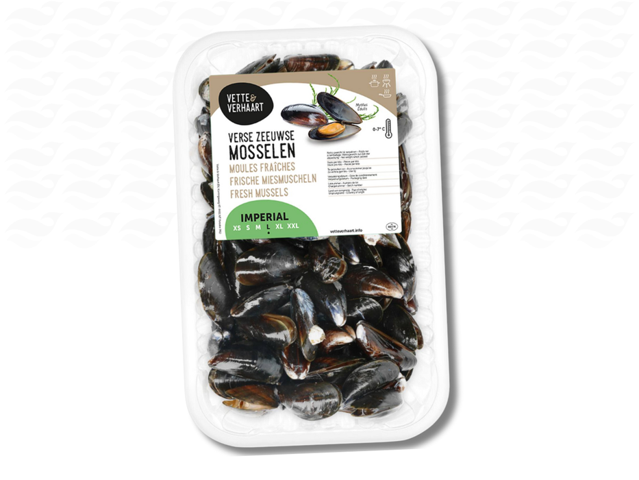 Verse Zeeuwse Mosselen