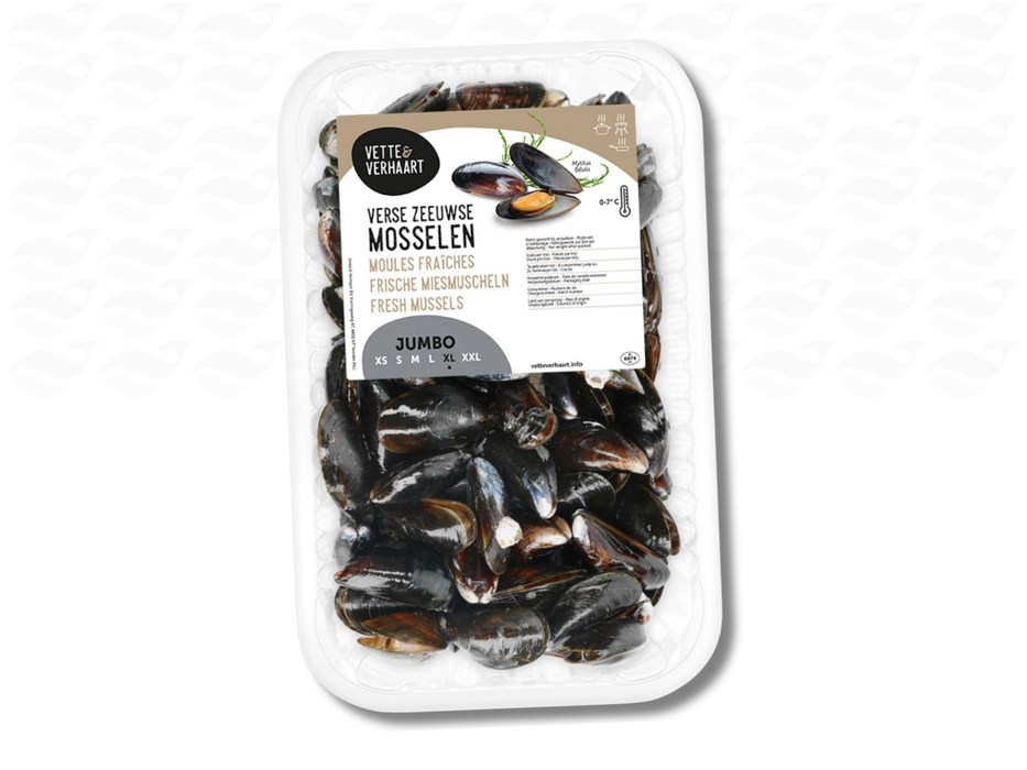 Verse Zeeuwse Mosselen
