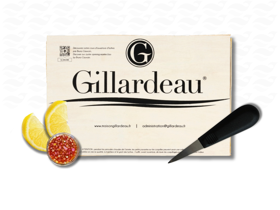 12 Verse Oesters + Gratis Oestermes, Citroenschijfjes & Vinaigrette