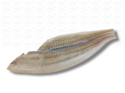 Scholfilet