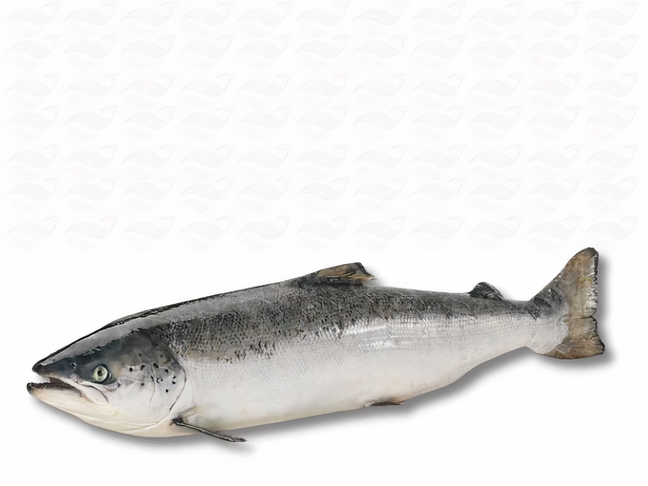 Hele Zalm