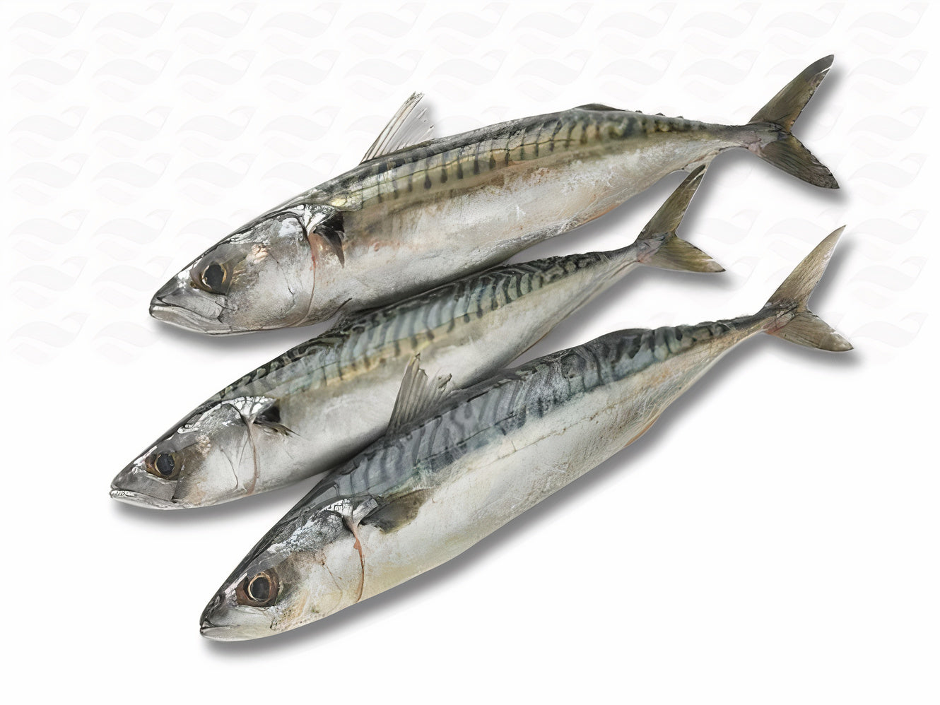 Noordzee Makreel Premium Catch – 2 KG €14,95 OP=OP