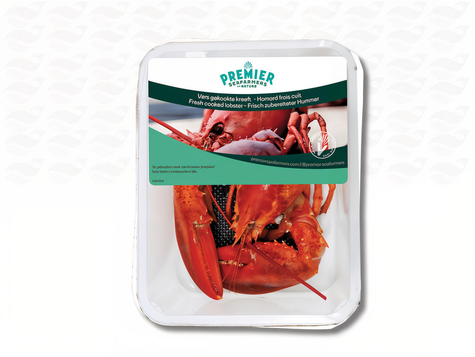 Vers Gekookte Canadese Kreeft (500–600 g)