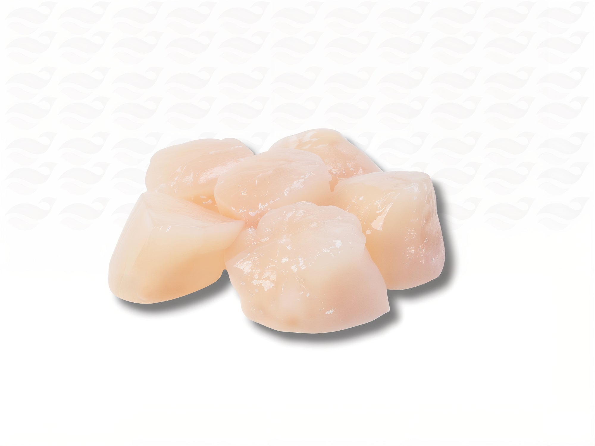 Coquillevlees