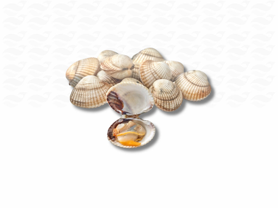 GRATIS Zeeuwse Kokkels 500 g