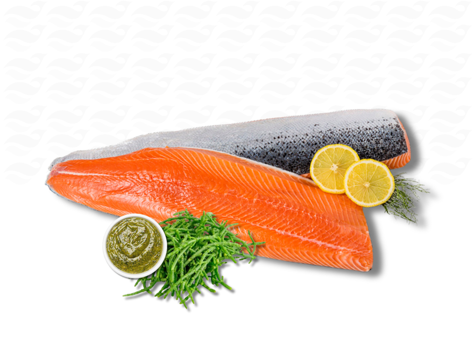 Superaanbieding 2 KG Zalm + Gratis bakje Zeekraal + Marinade